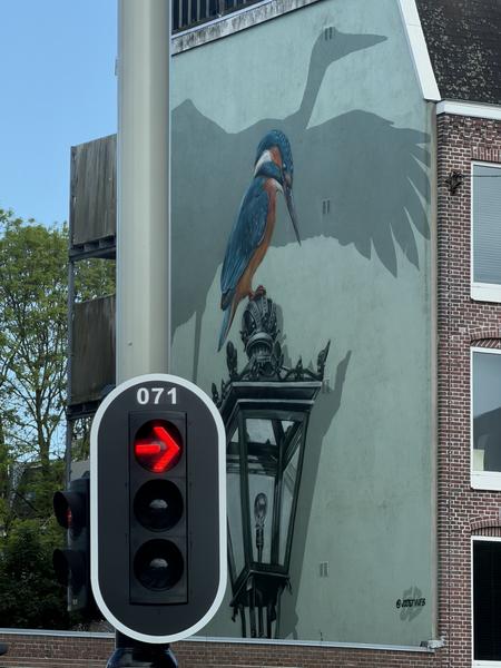 This photo captures a vibrant street art mural of a Kingfisher perched on a street lamp, with the shadow of a larger bird stretching behind it, on Haarlemmerweg, West, Amsterdam